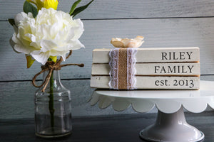 
                  
                    Personalized Family Name Book Set | Painted Book Stack
                  
                