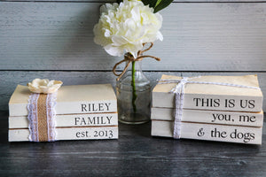 
                  
                    Personalized Family Name Book Set | Painted Book Stack
                  
                