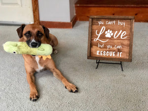 
                  
                    You Can't Buy Love But You Can Rescue It | Framed Wood Sign | 12x12
                  
                